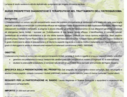 Borsa di studio annuale per attività di ricerca